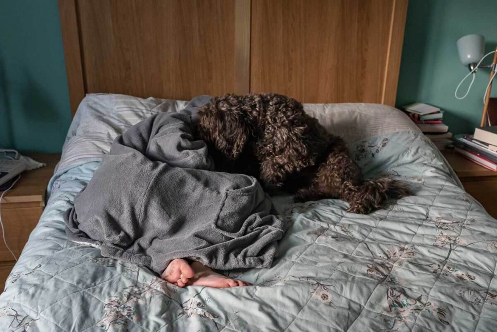 child in blanket and pet dog curled up on bed together